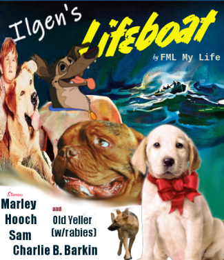 Lifeboat Ilgen